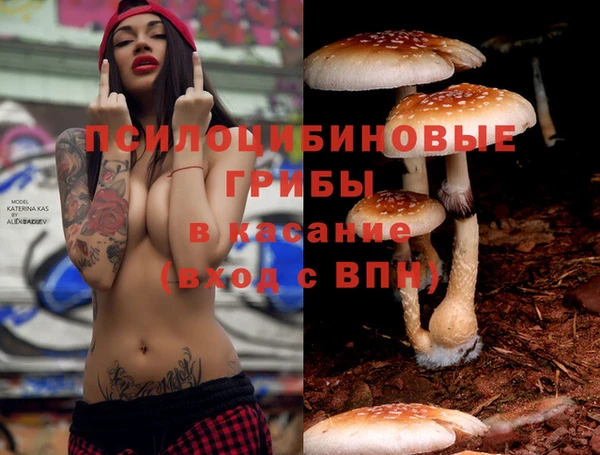 соль ск Елабуга