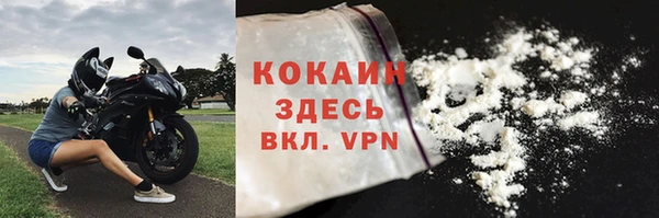 дмт Ельня