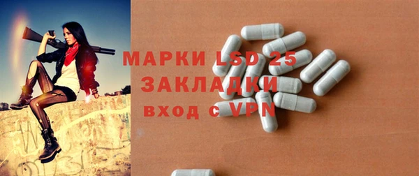дмт Ельня