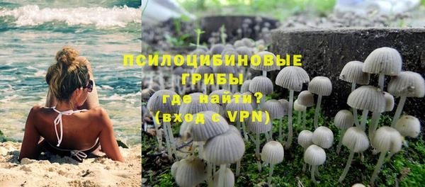 дмт Ельня