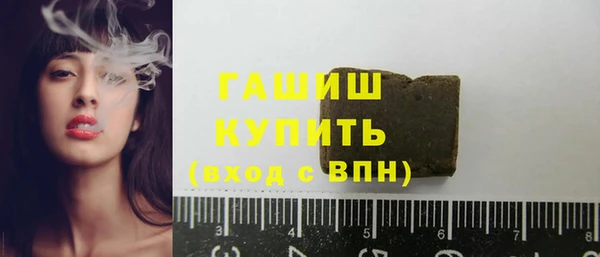 дмт Ельня