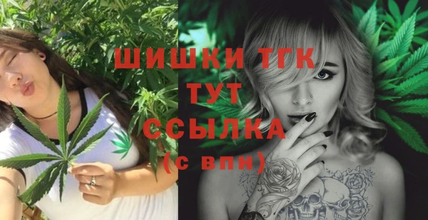дмт Ельня