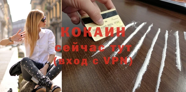 дмт Ельня