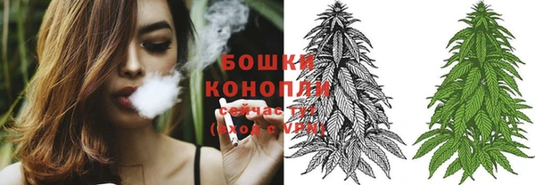 трава Елизово
