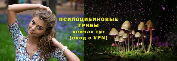 дмт Ельня