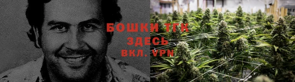 трава Елизово