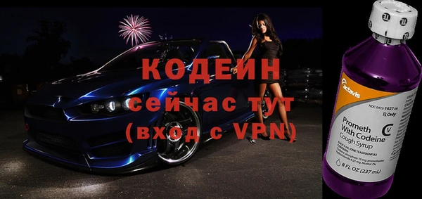 дмт Ельня